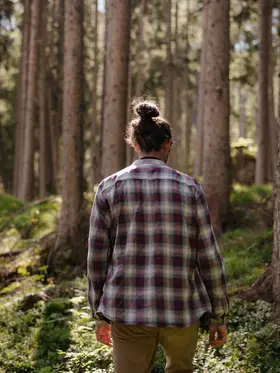 walk in the woods of Alta Badia